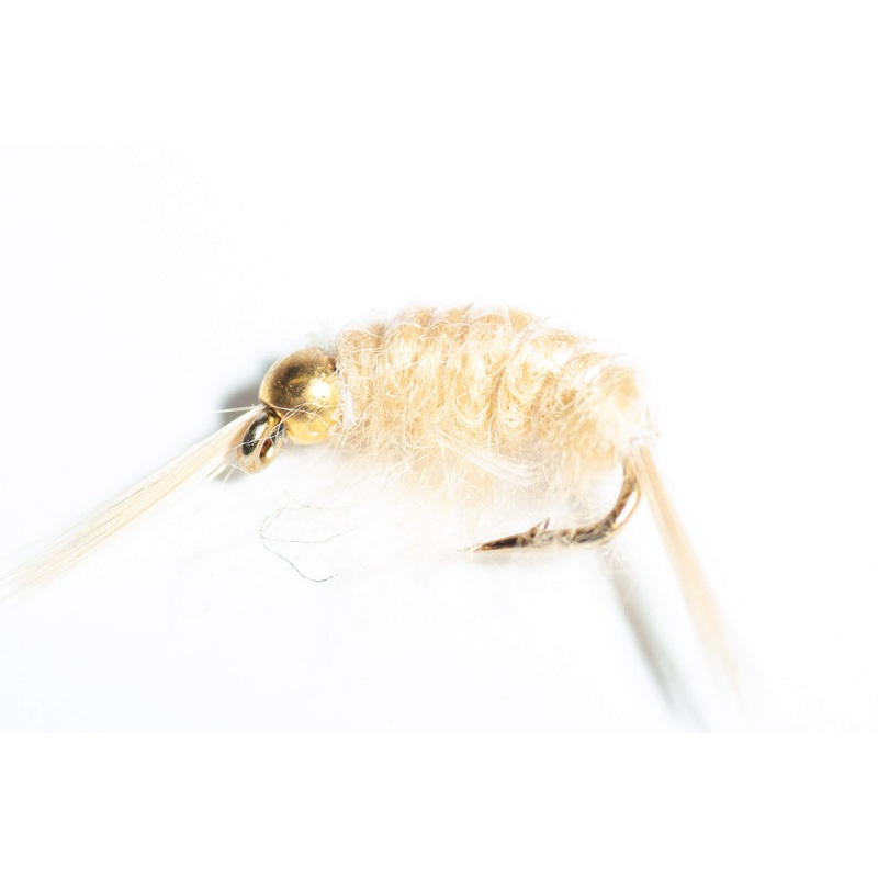 Bead-Head Scud Wet Fly, 6-Pack