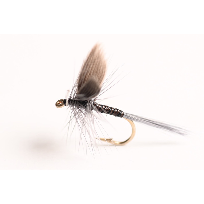 Blue Quill Dry Fly, 6-Pack|14||16||18