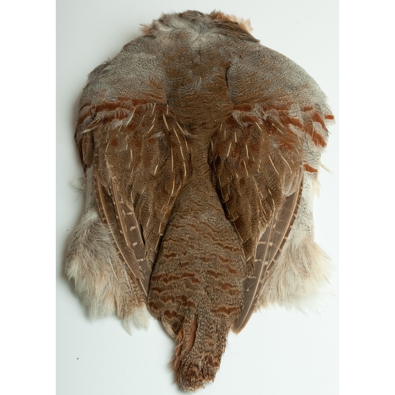 Premium Hungarian Partridge Skin, Natural