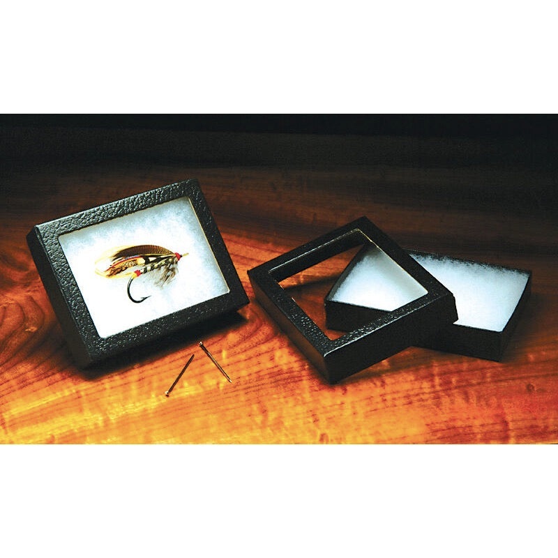 Fly Display Box|3″x4″|6″x8″