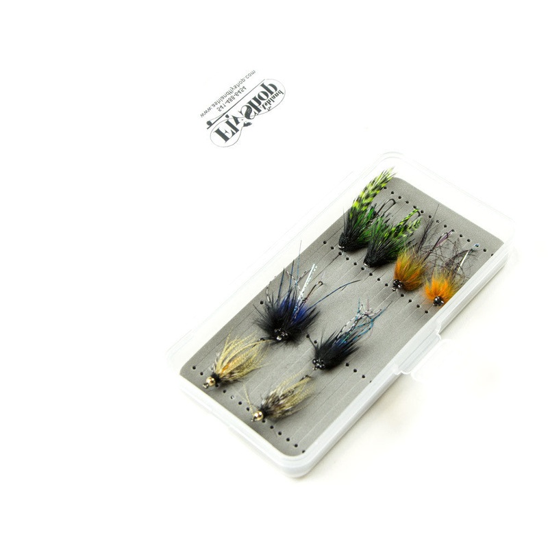 Next Product Image