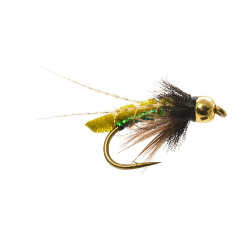 Beadhead Caddis Pupa|Olive|Tan|14|16
