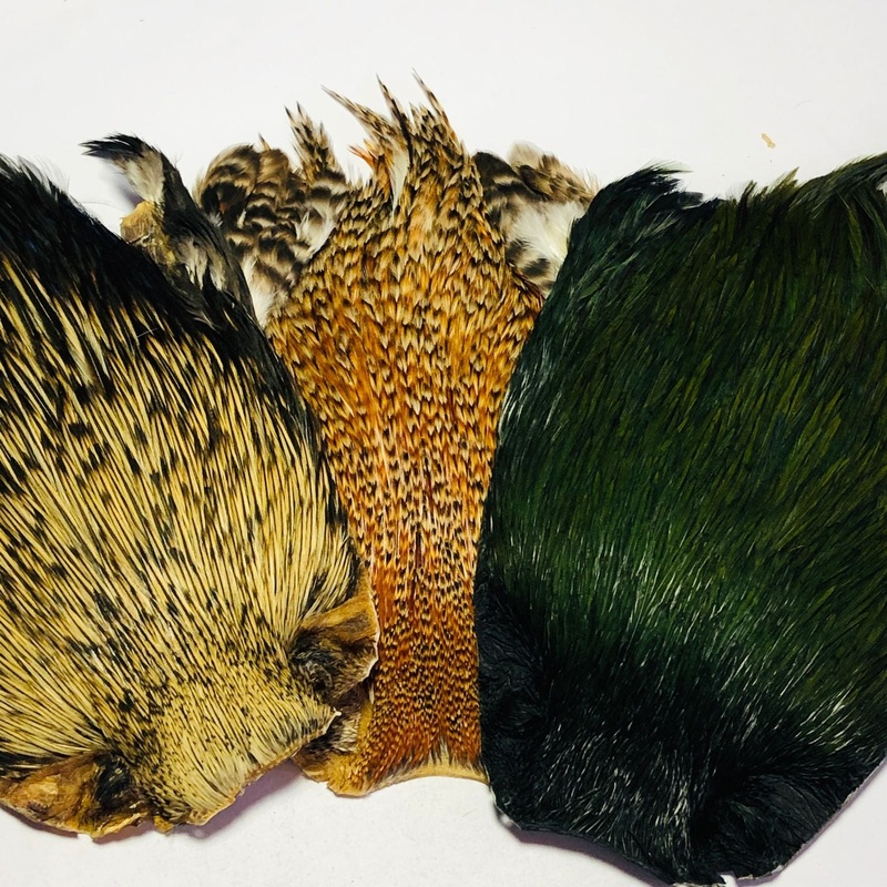 Fishient Group Indian Cock Capes