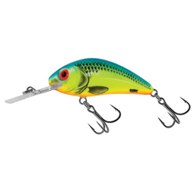 Rattlin Hornet – 6,5 cm (Floating)
