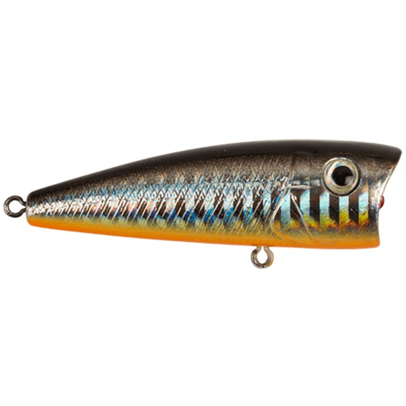 Strike Pop – 6 cm 8,5 g|Black Silver OB|Blue Silver OB|Bone|Brown Gill|Clown|Fire Tiger|Golden Shiner|Hot Perch|Leaf Frog