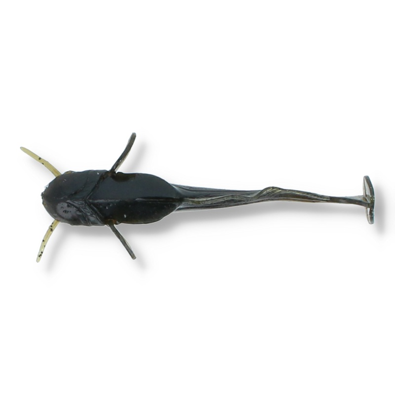 Fish Up Catfish 3 – Special Edition