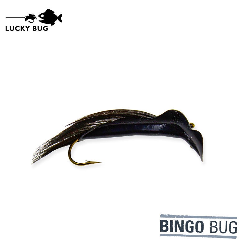 Bingo Bug – Black Leech||2 (Lrg)||6 (Med)||8 (Sml)