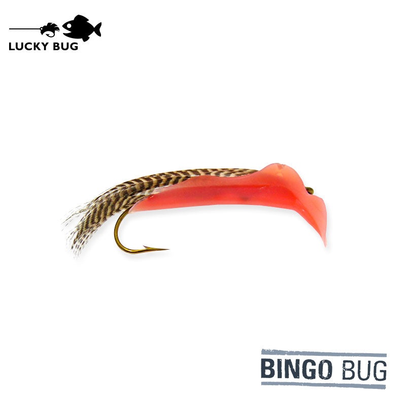Bingo Bug – Shrimp||2 (Lrg)||6 (Med)||8 (Sml)