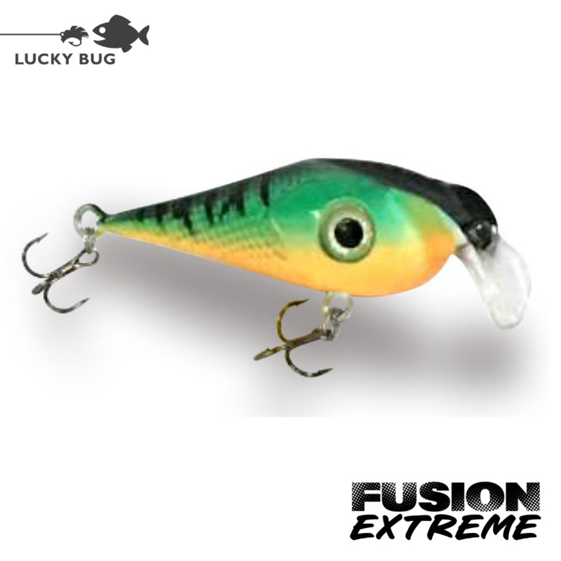 Fusion EXTREME – Fire Tiger