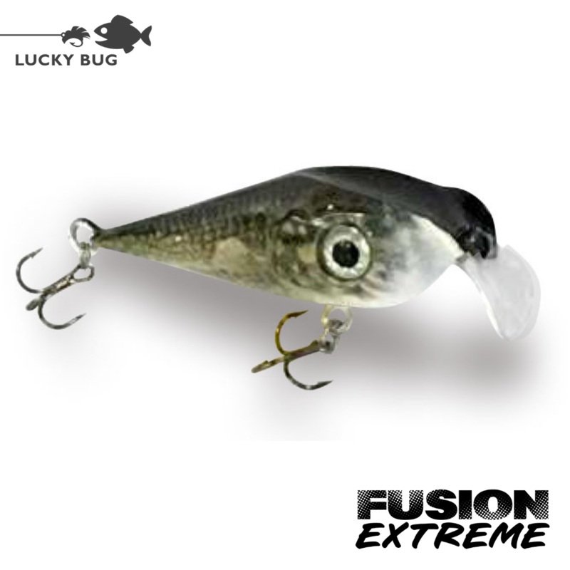 Fusion EXTREME – Frenzy Pike