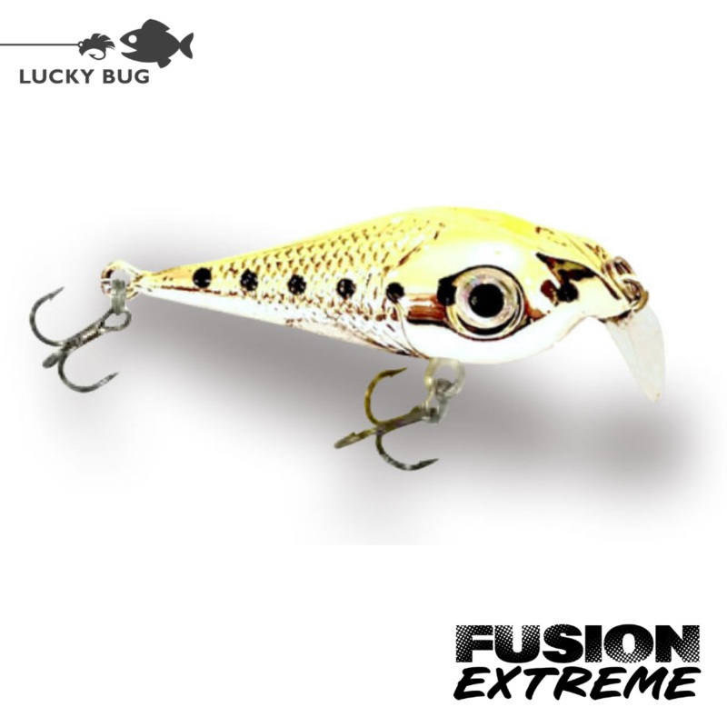 Fusion EXTREME – Gold Fish
