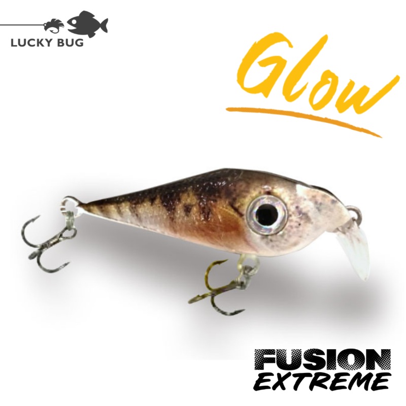 Fusion EXTREME – Perch