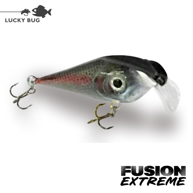 Fusion EXTREME – Rainbow Trout