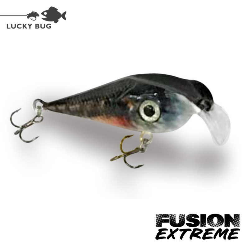 Fusion EXTREME – Tiger Trout