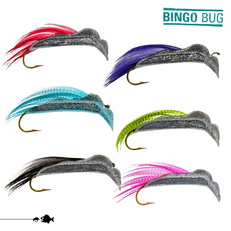 Bingo Bug – 6-Pack – Flash Combo Kit