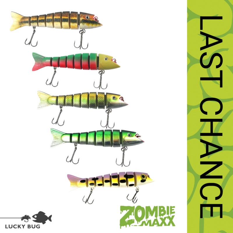 Zombie Maxx (7) – 5-Pack – Big Baits – LAST CHANCE