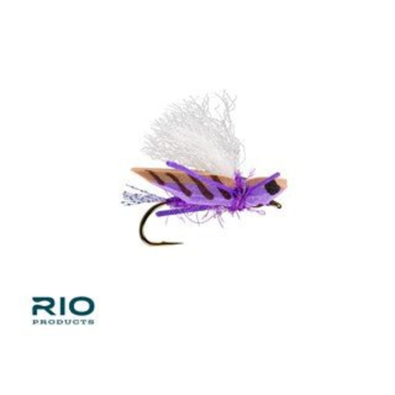 RIO Flies Blade Runner Hopper (12 Pack)