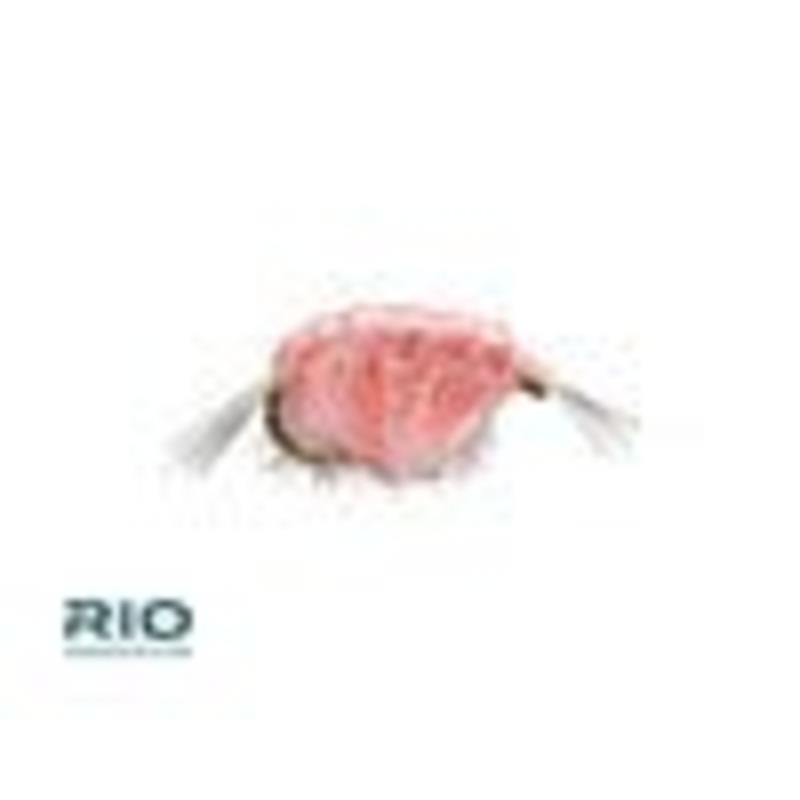 RIO Flies Scud (12 Pack)|14|16|Orange|Pink|Gray|Dark Olive