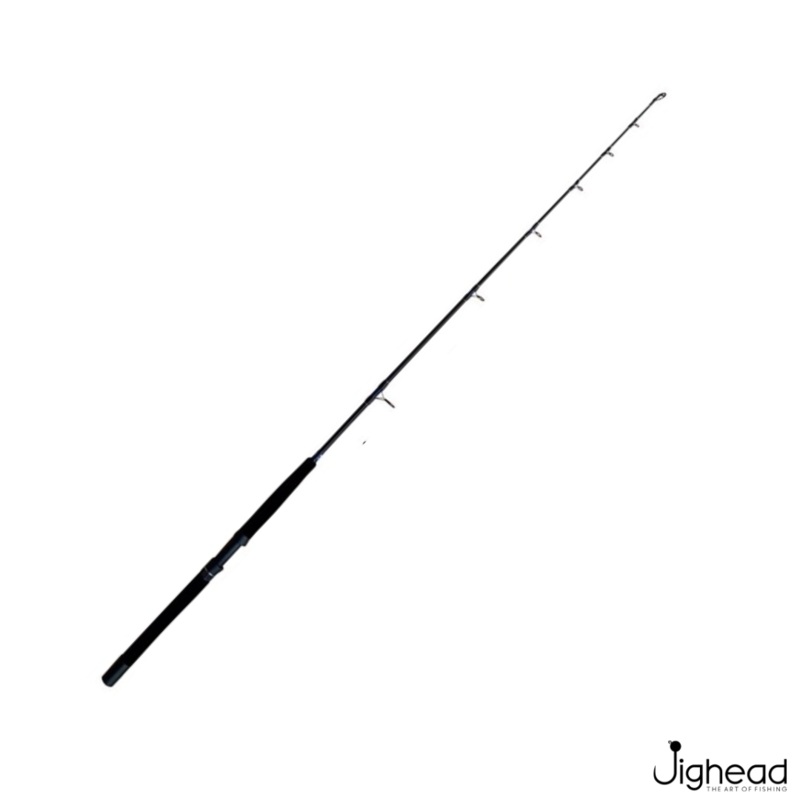 Pioneer Tuna Power 2 STP5’6  Baitcasting Rod