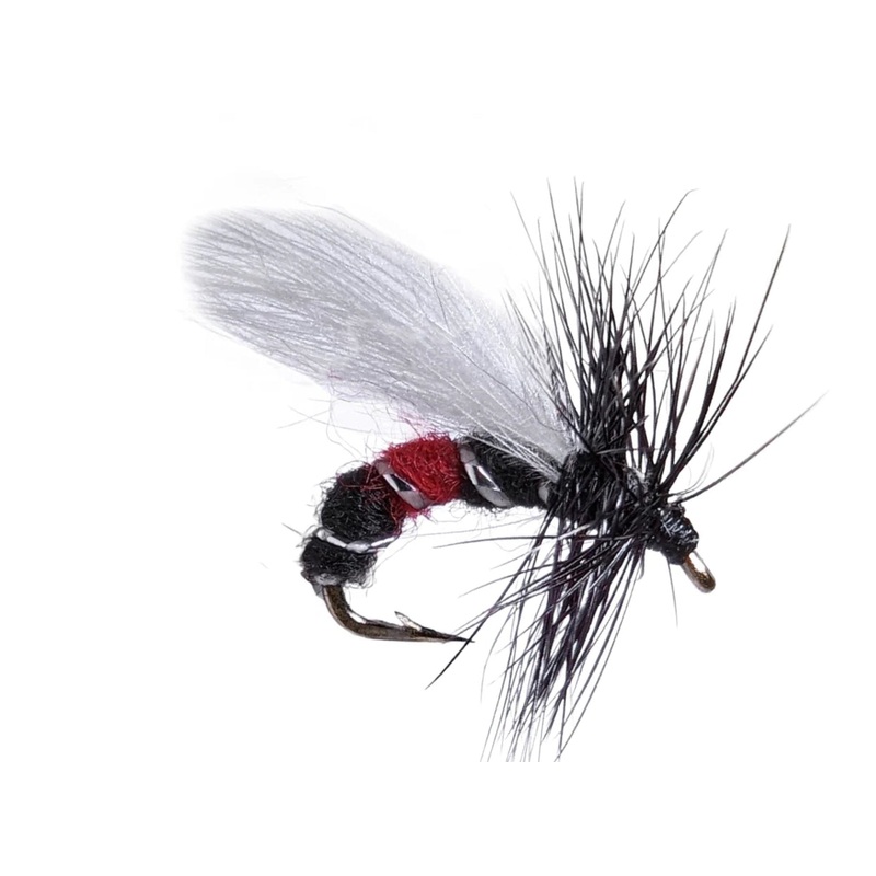 CDC Bibio Vinge| Ryskfluga|12