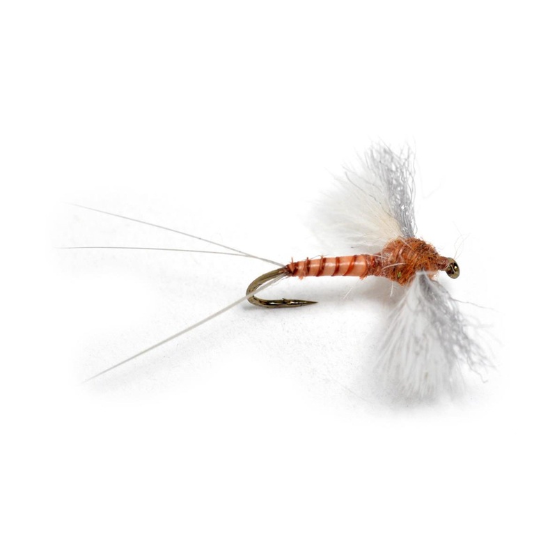 Spent Spinner Biot|12|14|16|18