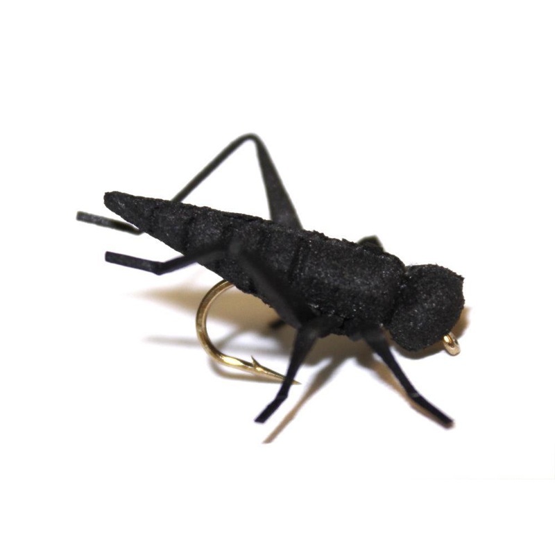 Vania | Cricket / Syrsa|6|8