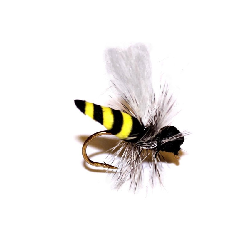 Vania | Wasp Hf|8|10|12