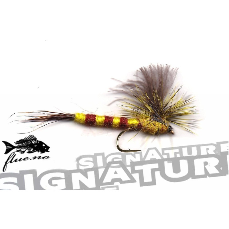 Vulgata Dun | Signatur|10