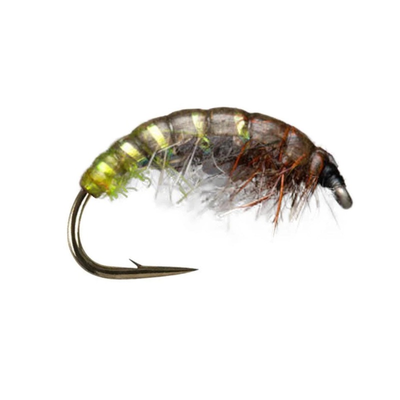 Czech Brown/Olive|12|14|16