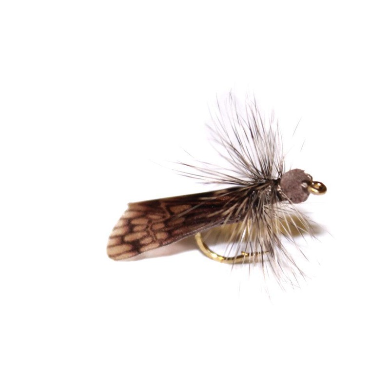 Vania | Dark Caddis|10|12
