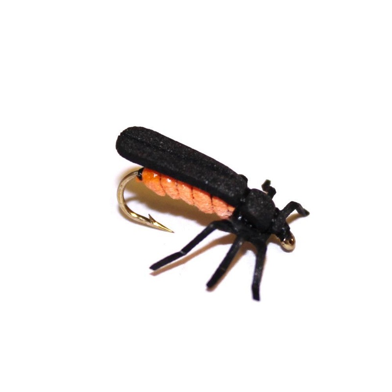 Vania | Fire Fly|10|12