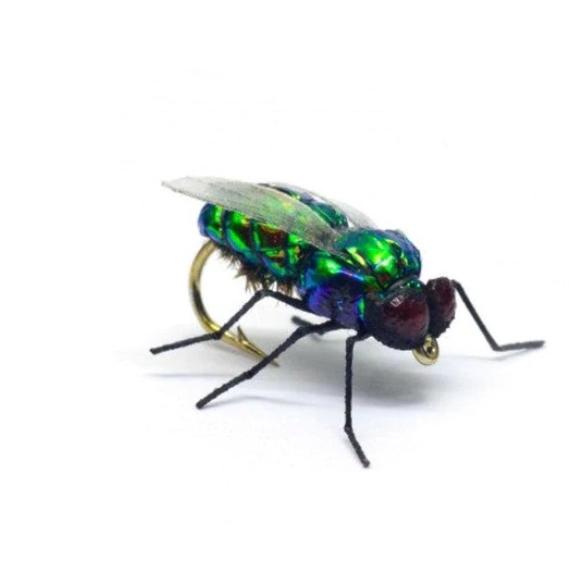 Vania | Green Fly|10|12