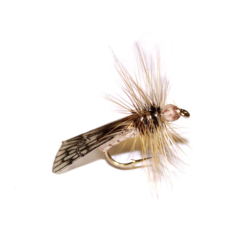 Vania | Light Caddis|10|12