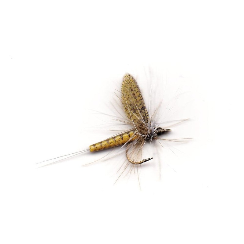 Vania | Olive Mayfly flue|14|16