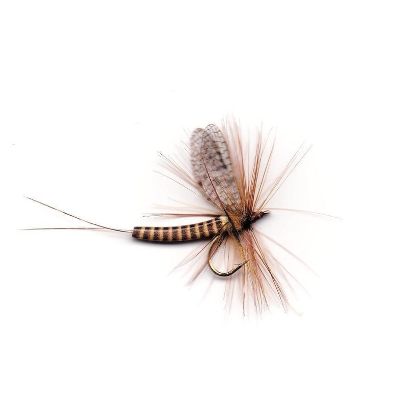 Vania | Red Quill|12|14|16|18