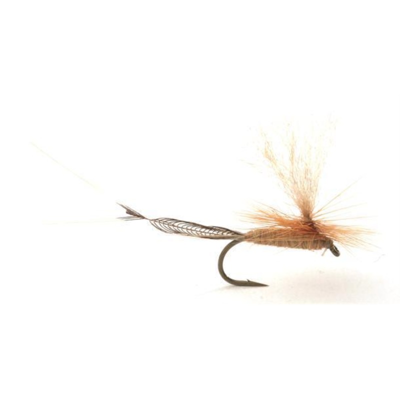 Vulgata Dun dgnflue|8|10