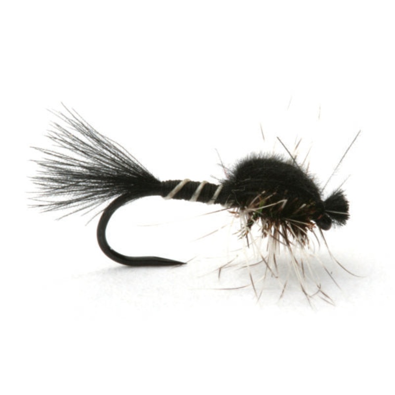 Hatching Midge Black/Grey|14|16|18