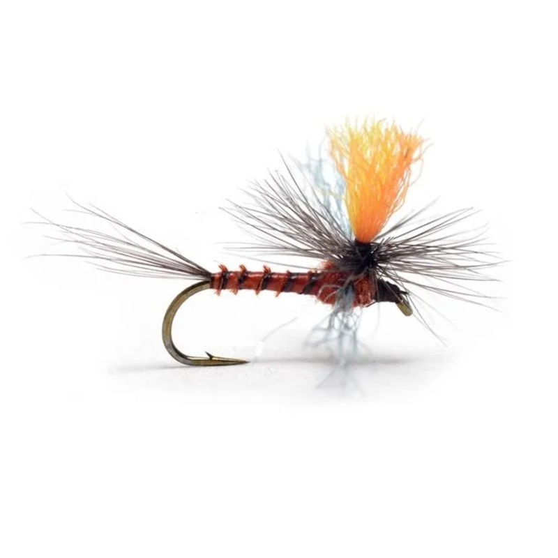 Profile Spinner Rusty|12|14