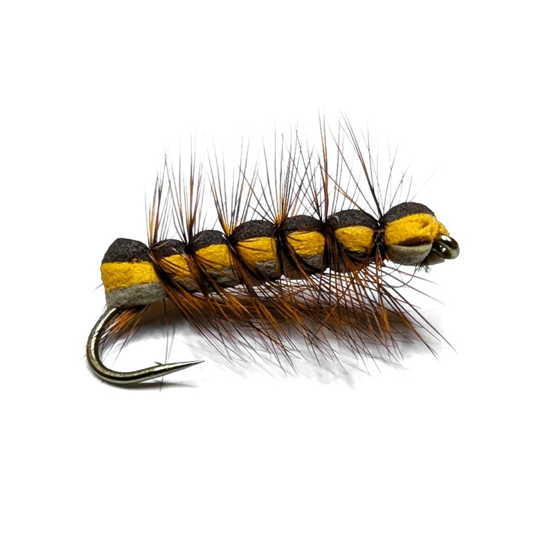 Vania | Brown Caterpilar|10