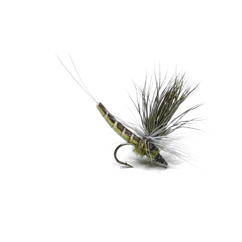 Vania | Elk Wing Green Drake Eastern