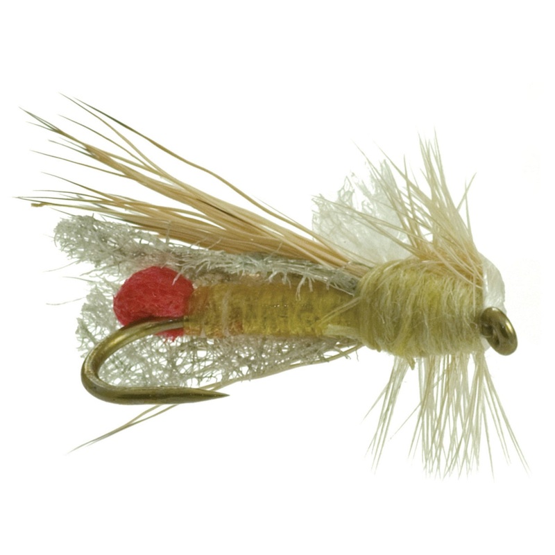 OUTRIGGER YELLOW SALLY – FOAM-BUT