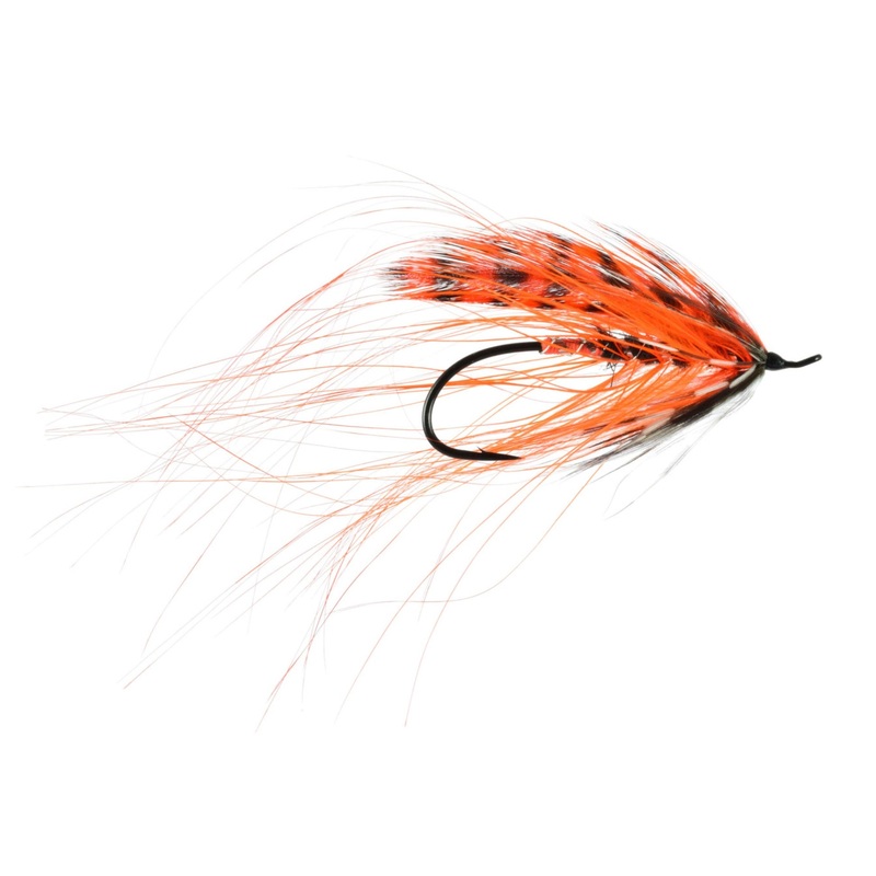 Spey Salmon|4|6