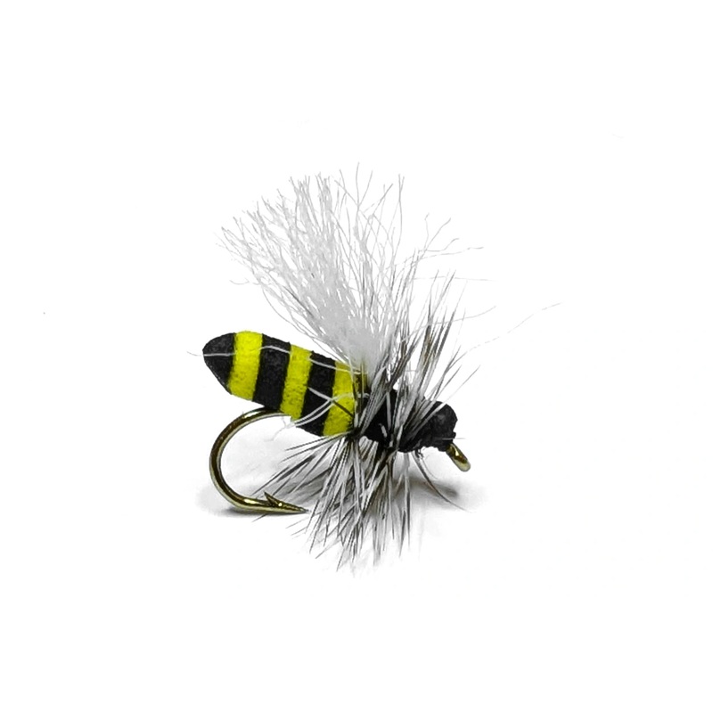 Vania | Little Wasp|14|16