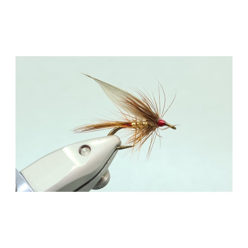 Wickhams fancy DH|Black|Red|8|10|12