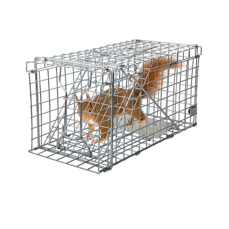 Ekornfelle 36x20x18 | Sammenleggbar Smdyrfelle