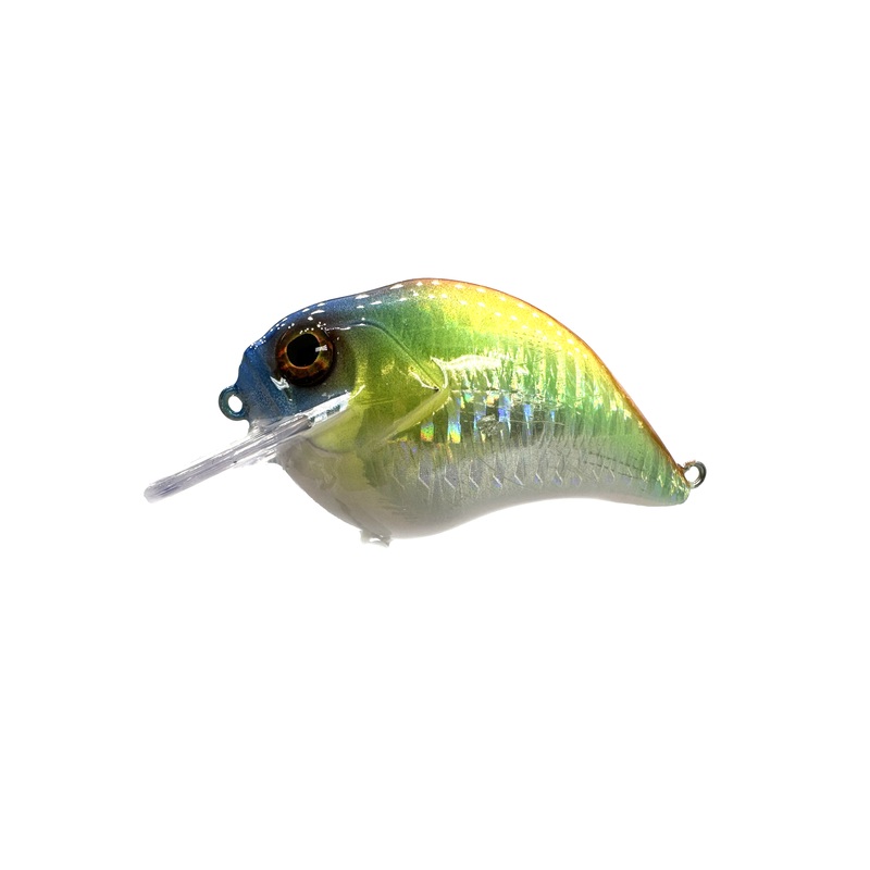 1.5 Squarebill Crankbait|BioCraw|Digi Perch|Blue Craw|Copper Craw|Green Craw|Gizzard Shad|Red Craw|Rusty Craw|Chrome Gizzard|Chrome Sexy Shad|Tennessee Shad|Light Gill|Dark Gill|Red Craw 2|Blue Craw 2|Emerald Shad|Holographic Emerald|Regurgitated Shad V2|
