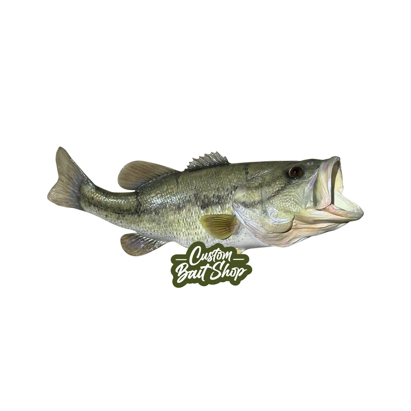 Largemouth Bass Replica (deposit)