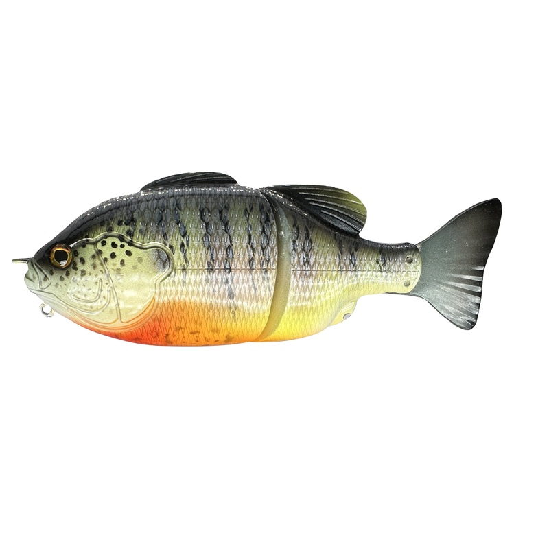 6 GillRoid Swim Bait|Zombie Gill|Pale Gill|Natural Gill|Light Gill|Dark Gill|Fire Gill|Tilapia|Purple Banded|Drip Gill|Custom Paint Job!