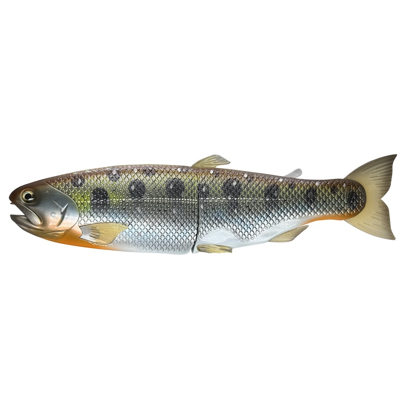 11 Hinko Trout – Special Patterns