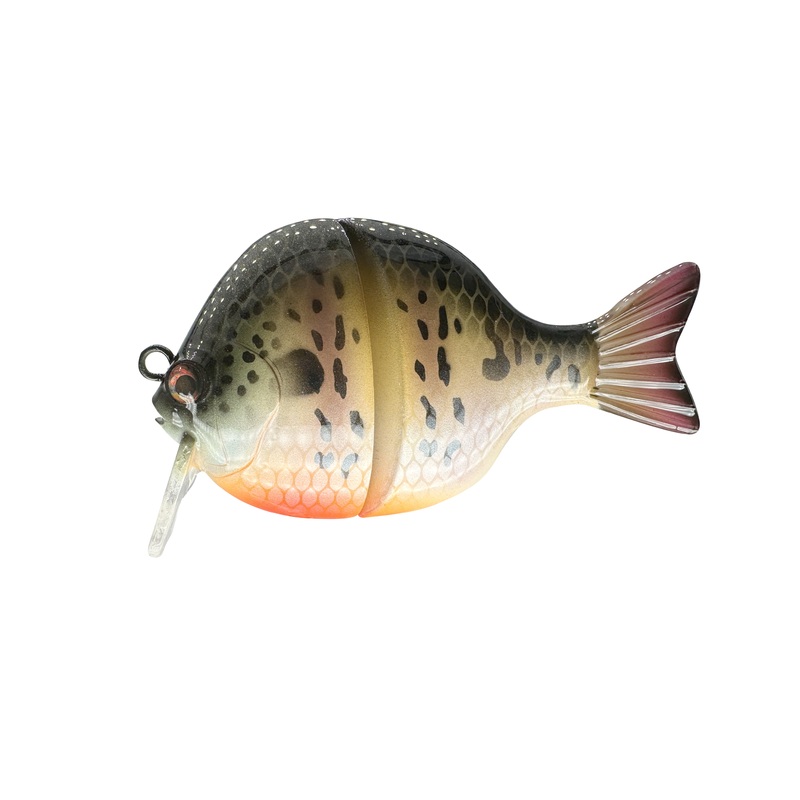 3 Compact Wake Bait (Sale)|Fire Belly Gill|Get a Custom Paint Job!
